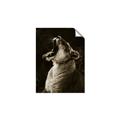 Picture of Yawning lion _GroupedProduct_Rectangle_Portrait_Photography _GroupedProduct_Rectangle_Portrait_Unframed_Print_Only_