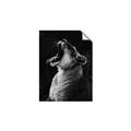 Picture of Yawning lion _GroupedProduct_Rectangle_Portrait_Photography _GroupedProduct_Rectangle_Portrait_Unframed_Print_Only_