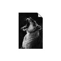 Picture of Yawning lion _GroupedProduct_Rectangle_Portrait_Photography _GroupedProduct_Rectangle_Portrait_Unframed_Print_Only_