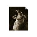 Picture of Yawning lion _GroupedProduct_Rectangle_Portrait_Photography _GroupedProduct_Rectangle_Portrait_Unframed_Print_Only_