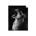 Picture of Yawning lion _GroupedProduct_Rectangle_Portrait_Photography _GroupedProduct_Rectangle_Portrait_Unframed_Print_Only_