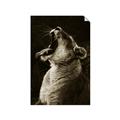 Picture of Yawning lion _GroupedProduct_Rectangle_Portrait_Photography _GroupedProduct_Rectangle_Portrait_Unframed_Print_Only_