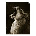 Picture of Yawning lion _GroupedProduct_Rectangle_Portrait_Photography _GroupedProduct_Rectangle_Portrait_Unframed_Print_Only_