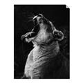 Picture of Yawning lion _GroupedProduct_Rectangle_Portrait_Photography _GroupedProduct_Rectangle_Portrait_Unframed_Print_Only_