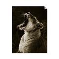 Picture of Yawning lion _GroupedProduct_Rectangle_Portrait_Photography _GroupedProduct_Rectangle_Portrait_Unframed_Print_Only_