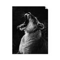 Picture of Yawning lion _GroupedProduct_Rectangle_Portrait_Photography _GroupedProduct_Rectangle_Portrait_Unframed_Print_Only_