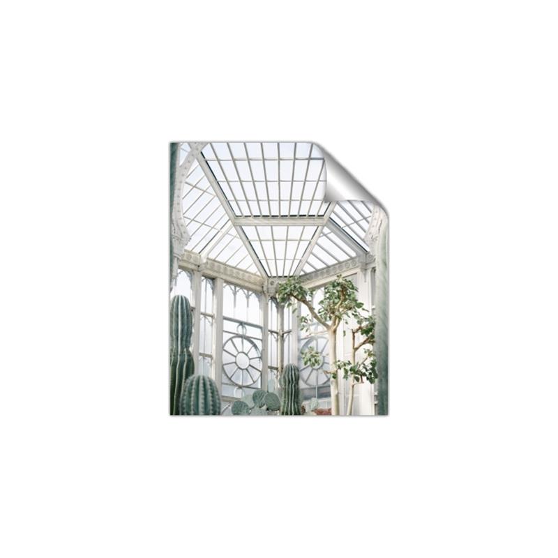 Picture of Tropical Greenhouse lll _GroupedProduct_Rectangle_Portrait_Photography _GroupedProduct_Rectangle_Portrait_Unframed_Print_Only_