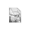 Picture of Tropical Greenhouse lll _GroupedProduct_Rectangle_Portrait_Photography _GroupedProduct_Rectangle_Portrait_Unframed_Print_Only_