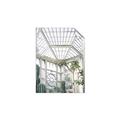 Picture of Tropical Greenhouse lll _GroupedProduct_Rectangle_Portrait_Photography _GroupedProduct_Rectangle_Portrait_Unframed_Print_Only_