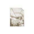 Picture of Tropical Greenhouse lll _GroupedProduct_Rectangle_Portrait_Photography _GroupedProduct_Rectangle_Portrait_Unframed_Print_Only_