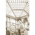 Picture of Tropical Greenhouse lll _GroupedProduct_Rectangle_Portrait_Photography _GroupedProduct_Rectangle_Portrait_Unframed_Print_Only_