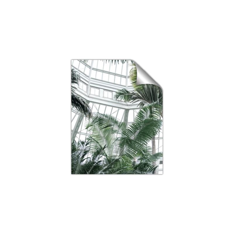 Picture of Tropical Greenhouse ll _GroupedProduct_Rectangle_Portrait_Photography _GroupedProduct_Rectangle_Portrait_Unframed_Print_Only_