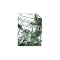 Picture of Tropical Greenhouse ll _GroupedProduct_Rectangle_Portrait_Photography _GroupedProduct_Rectangle_Portrait_Unframed_Print_Only_