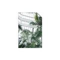 Picture of Tropical Greenhouse ll _GroupedProduct_Rectangle_Portrait_Photography _GroupedProduct_Rectangle_Portrait_Unframed_Print_Only_