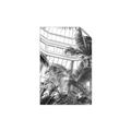 Picture of Tropical Greenhouse ll _GroupedProduct_Rectangle_Portrait_Photography _GroupedProduct_Rectangle_Portrait_Unframed_Print_Only_