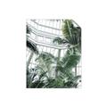 Picture of Tropical Greenhouse ll _GroupedProduct_Rectangle_Portrait_Photography _GroupedProduct_Rectangle_Portrait_Unframed_Print_Only_
