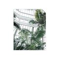 Picture of Tropical Greenhouse ll _GroupedProduct_Rectangle_Portrait_Photography _GroupedProduct_Rectangle_Portrait_Unframed_Print_Only_