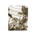Picture of Tropical Greenhouse ll _GroupedProduct_Rectangle_Portrait_Photography _GroupedProduct_Rectangle_Portrait_Unframed_Print_Only_