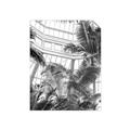Picture of Tropical Greenhouse ll _GroupedProduct_Rectangle_Portrait_Photography _GroupedProduct_Rectangle_Portrait_Unframed_Print_Only_