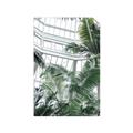 Picture of Tropical Greenhouse ll _GroupedProduct_Rectangle_Portrait_Photography _GroupedProduct_Rectangle_Portrait_Unframed_Print_Only_