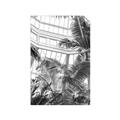 Picture of Tropical Greenhouse ll _GroupedProduct_Rectangle_Portrait_Photography _GroupedProduct_Rectangle_Portrait_Unframed_Print_Only_