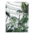 Picture of Tropical Greenhouse ll _GroupedProduct_Rectangle_Portrait_Photography _GroupedProduct_Rectangle_Portrait_Unframed_Print_Only_
