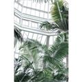 Picture of Tropical Greenhouse ll _GroupedProduct_Rectangle_Portrait_Photography _GroupedProduct_Rectangle_Portrait_Unframed_Print_Only_