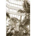 Picture of Tropical Greenhouse ll _GroupedProduct_Rectangle_Portrait_Photography _GroupedProduct_Rectangle_Portrait_Unframed_Print_Only_