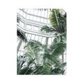 Picture of Tropical Greenhouse ll _GroupedProduct_Rectangle_Portrait_Photography _GroupedProduct_Rectangle_Portrait_Unframed_Print_Only_