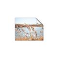 Picture of Fall Beach _GroupedProduct_Rectangle_Landscape_Photography _GroupedProduct_Rectangle_Landscape_Unframed_Print_Only_