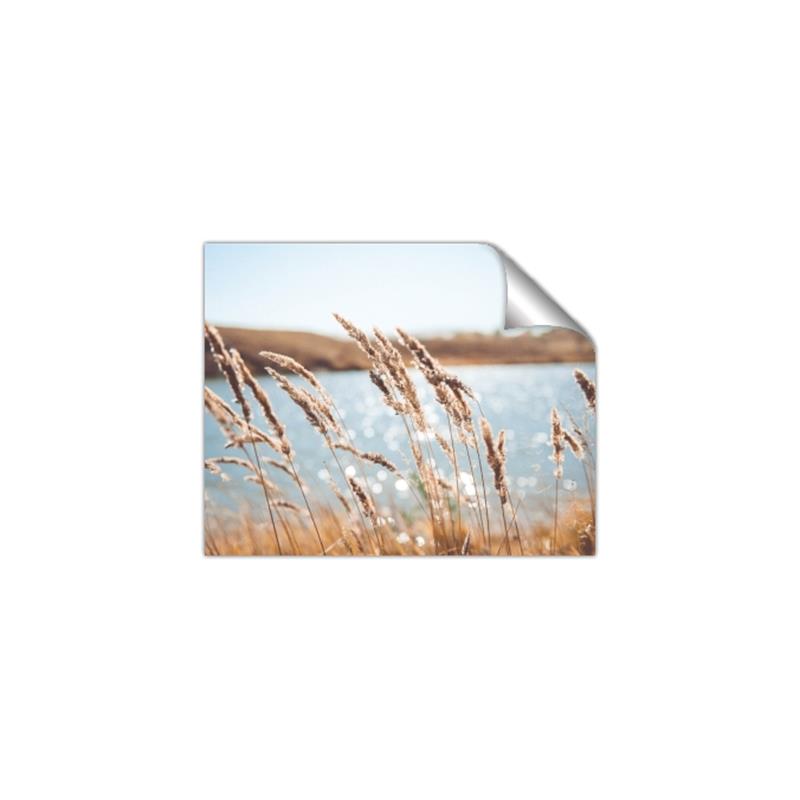 Picture of Fall Beach _GroupedProduct_Rectangle_Landscape_Photography _GroupedProduct_Rectangle_Landscape_Unframed_Print_Only_