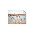 Picture of Fall Beach _GroupedProduct_Rectangle_Landscape_Photography _GroupedProduct_Rectangle_Landscape_Unframed_Print_Only_