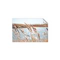 Picture of Fall Beach _GroupedProduct_Rectangle_Landscape_Photography _GroupedProduct_Rectangle_Landscape_Unframed_Print_Only_