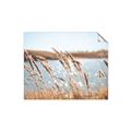 Picture of Fall Beach _GroupedProduct_Rectangle_Landscape_Photography _GroupedProduct_Rectangle_Landscape_Unframed_Print_Only_