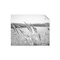 Picture of Fall Beach _GroupedProduct_Rectangle_Landscape_Photography _GroupedProduct_Rectangle_Landscape_Unframed_Print_Only_