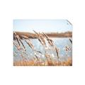 Picture of Fall Beach _GroupedProduct_Rectangle_Landscape_Photography _GroupedProduct_Rectangle_Landscape_Unframed_Print_Only_