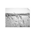 Picture of Fall Beach _GroupedProduct_Rectangle_Landscape_Photography _GroupedProduct_Rectangle_Landscape_Unframed_Print_Only_
