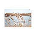 Picture of Fall Beach _GroupedProduct_Rectangle_Landscape_Photography _GroupedProduct_Rectangle_Landscape_Unframed_Print_Only_