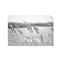 Picture of Fall Beach _GroupedProduct_Rectangle_Landscape_Photography _GroupedProduct_Rectangle_Landscape_Unframed_Print_Only_