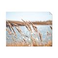 Picture of Fall Beach _GroupedProduct_Rectangle_Landscape_Photography _GroupedProduct_Rectangle_Landscape_Unframed_Print_Only_