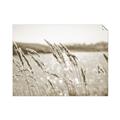 Picture of Fall Beach _GroupedProduct_Rectangle_Landscape_Photography _GroupedProduct_Rectangle_Landscape_Unframed_Print_Only_