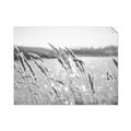 Picture of Fall Beach _GroupedProduct_Rectangle_Landscape_Photography _GroupedProduct_Rectangle_Landscape_Unframed_Print_Only_