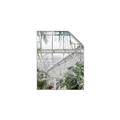 Picture of Green house IV _GroupedProduct_Rectangle_Portrait_Photography _GroupedProduct_Rectangle_Portrait_Unframed_Print_Only_