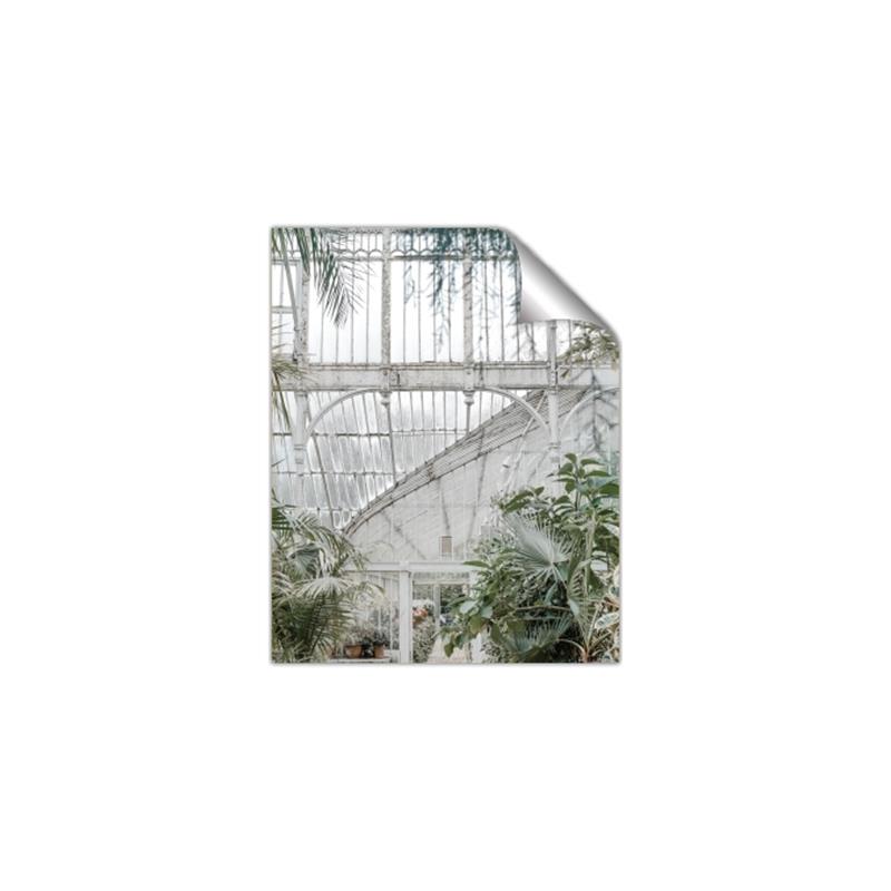 Picture of Green house IV _GroupedProduct_Rectangle_Portrait_Photography _GroupedProduct_Rectangle_Portrait_Unframed_Print_Only_