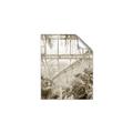 Picture of Green house IV _GroupedProduct_Rectangle_Portrait_Photography _GroupedProduct_Rectangle_Portrait_Unframed_Print_Only_
