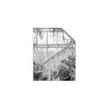 Picture of Green house IV _GroupedProduct_Rectangle_Portrait_Photography _GroupedProduct_Rectangle_Portrait_Unframed_Print_Only_