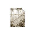 Picture of Green house IV _GroupedProduct_Rectangle_Portrait_Photography _GroupedProduct_Rectangle_Portrait_Unframed_Print_Only_