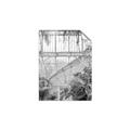 Picture of Green house IV _GroupedProduct_Rectangle_Portrait_Photography _GroupedProduct_Rectangle_Portrait_Unframed_Print_Only_