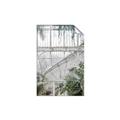Picture of Green house IV _GroupedProduct_Rectangle_Portrait_Photography _GroupedProduct_Rectangle_Portrait_Unframed_Print_Only_