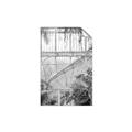 Picture of Green house IV _GroupedProduct_Rectangle_Portrait_Photography _GroupedProduct_Rectangle_Portrait_Unframed_Print_Only_